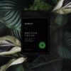 MATCHA FOCUS
