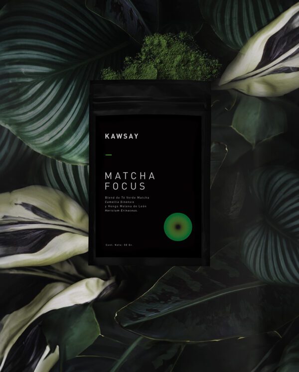 MATCHA FOCUS