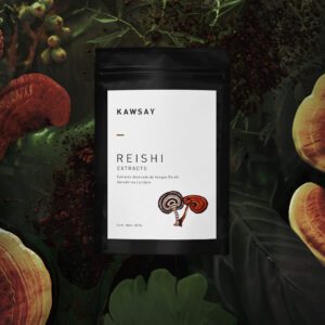REISHI EXTRACTO